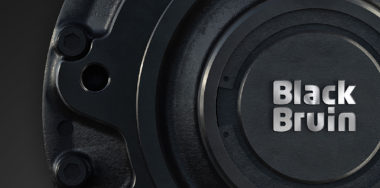 Black Bruin